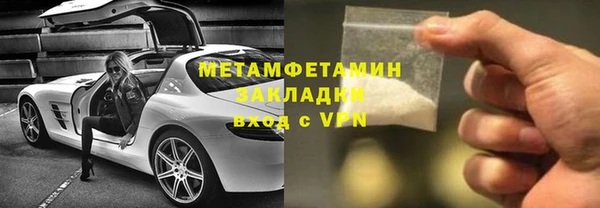 прущие грибы Новодвинск