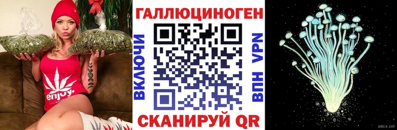 Галлюциногенные грибы мицелий  дарнет шоп  Кедровый 