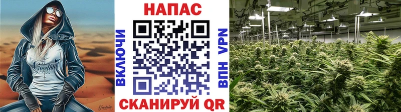 Шишки марихуана Bruce Banner  Кедровый 
