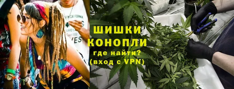 где купить наркотик  Кедровый  Конопля THC 21% 